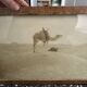 Panoramic photograph of the ancient Sahara A. Bougault around 1900 – Framed