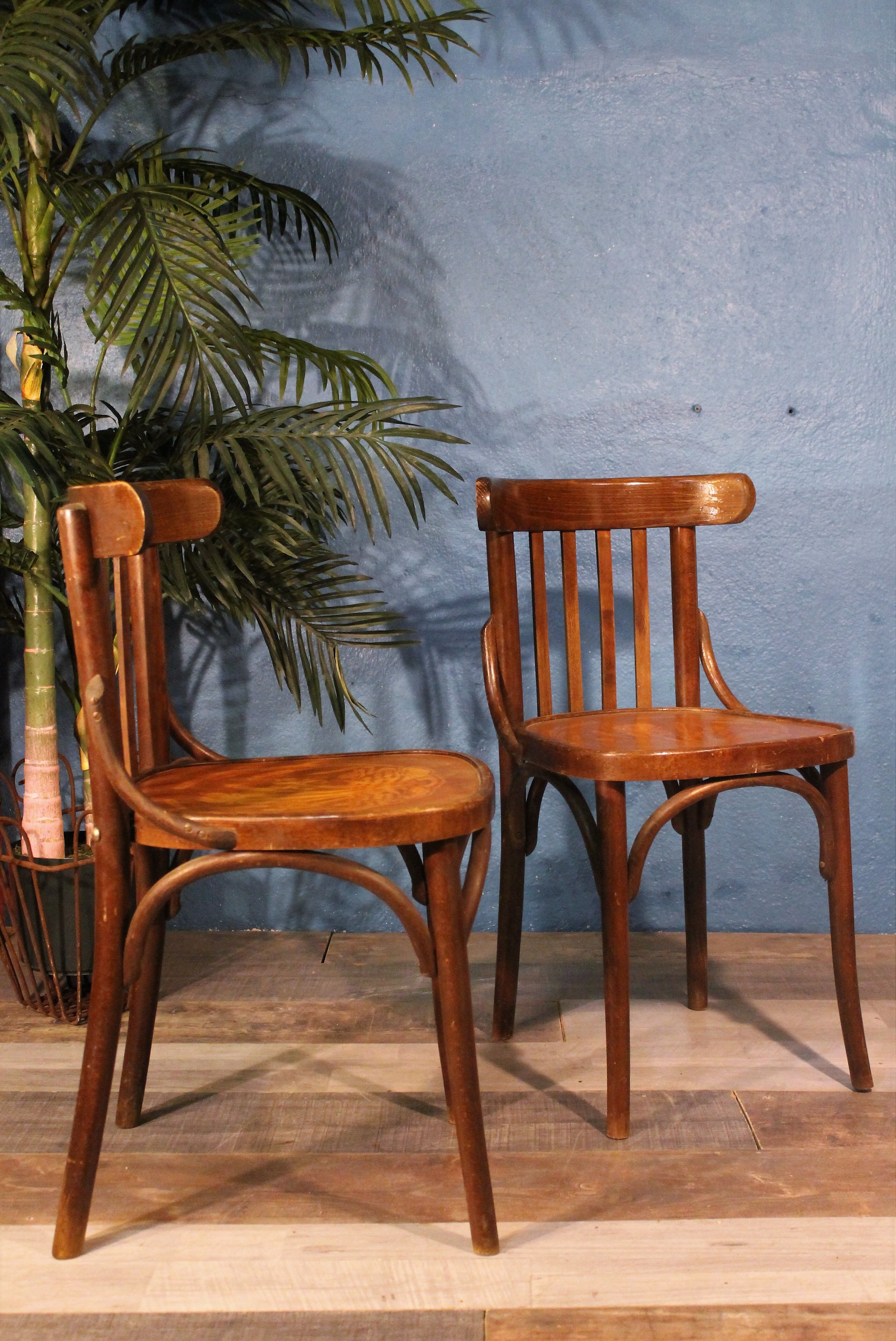 Fischel "Bistrot" chairs at the beginning of the 20th century