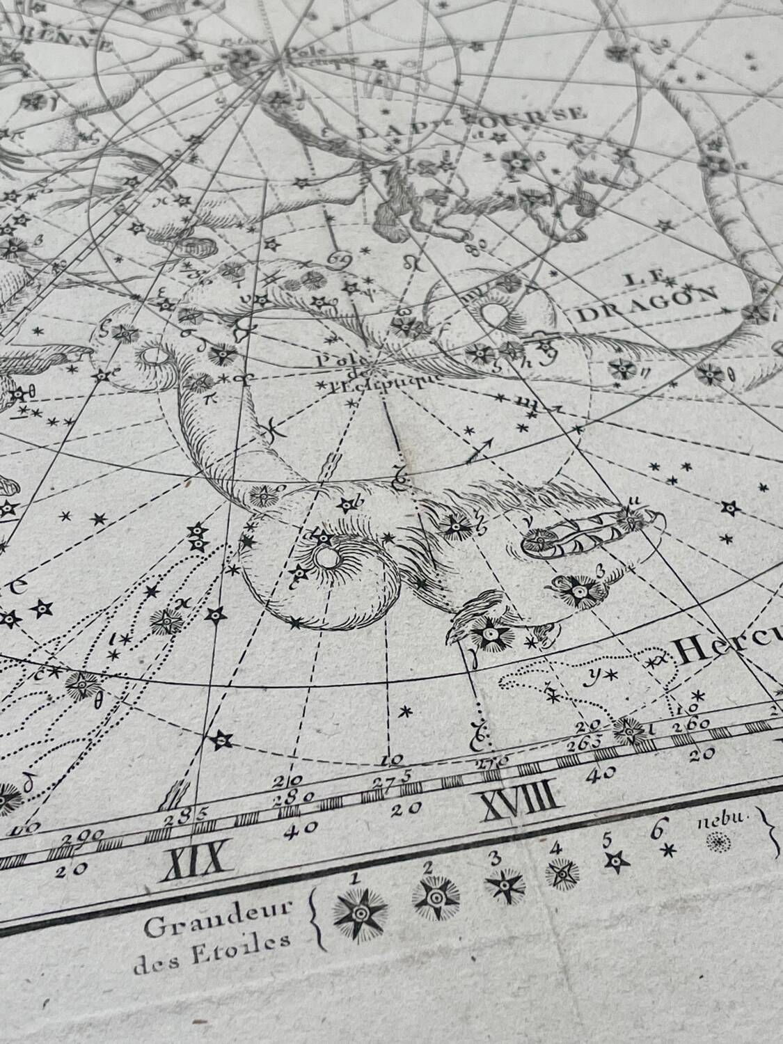 Cassiopée Céphée Le Renne La Petite Ourse Le Dragon - Astronomie