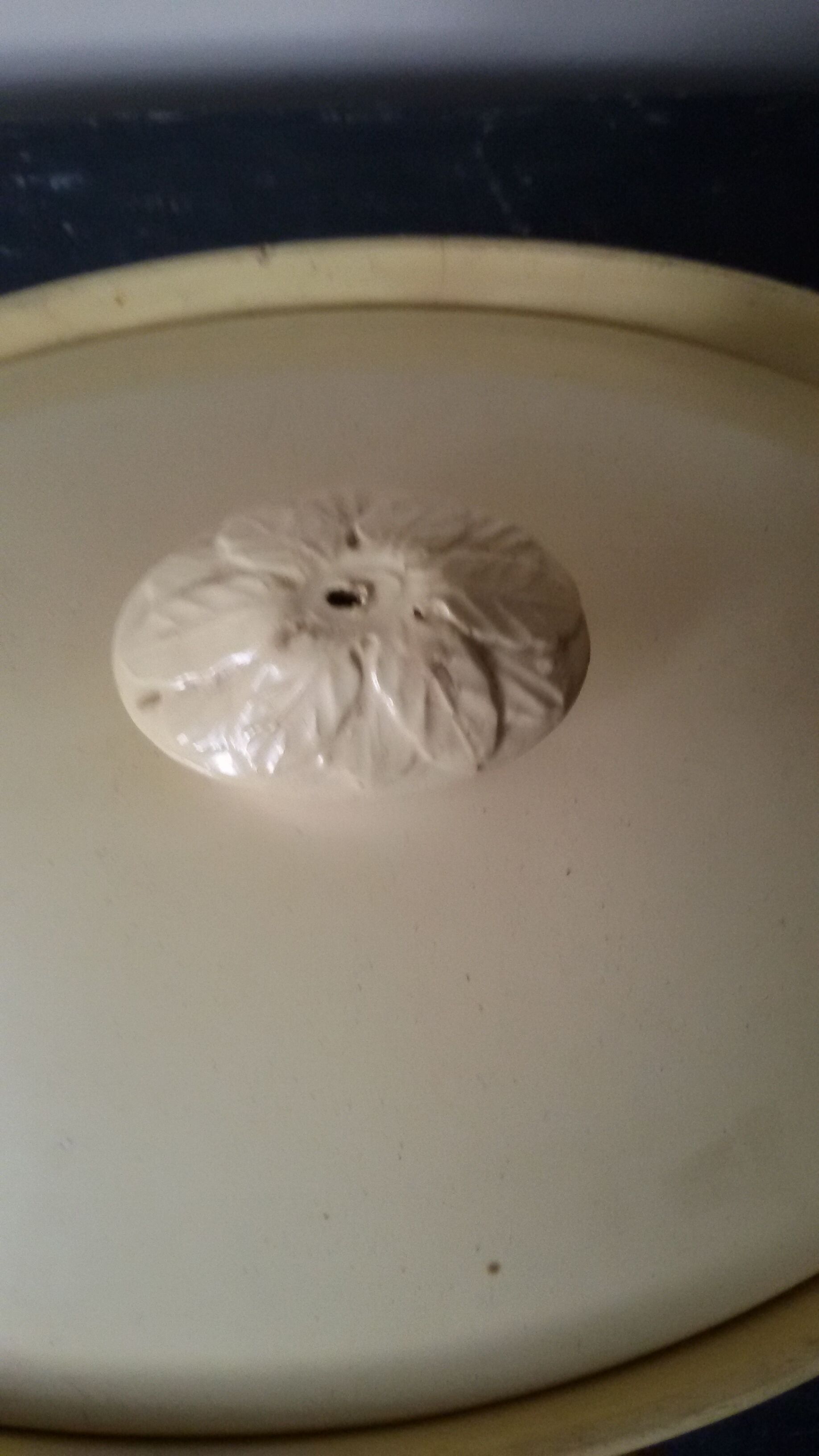 Bowl oval earthenware Sarreguemines XIX