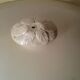Bowl oval earthenware Sarreguemines XIX