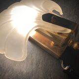 Frosted glass shell wall lamps