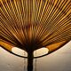 Pair Of Ingo Maurer Uchiwa III Wall Lamps For M-Design, 1973
