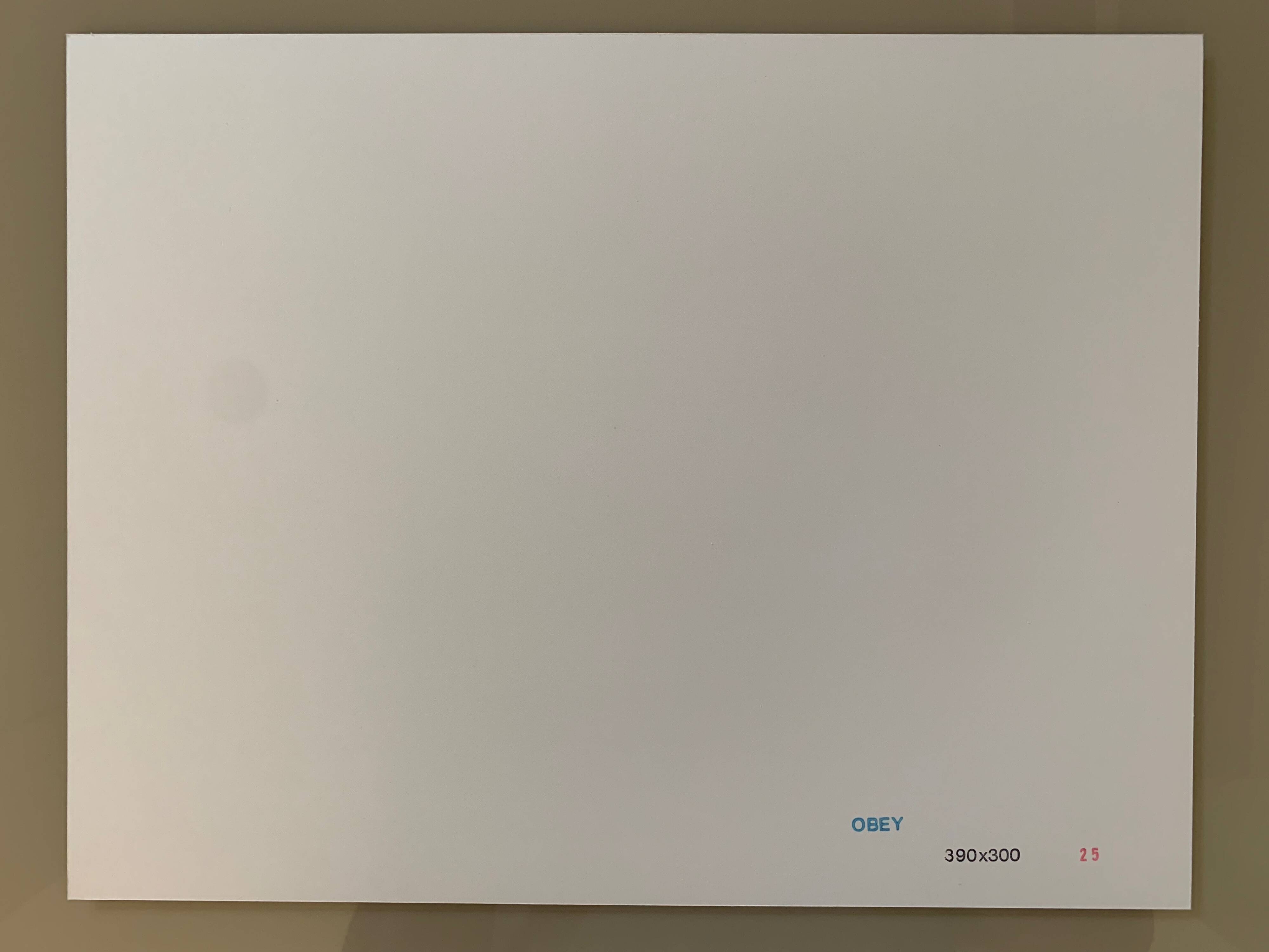 Shepard fairey "obey" earth day monkey pod green