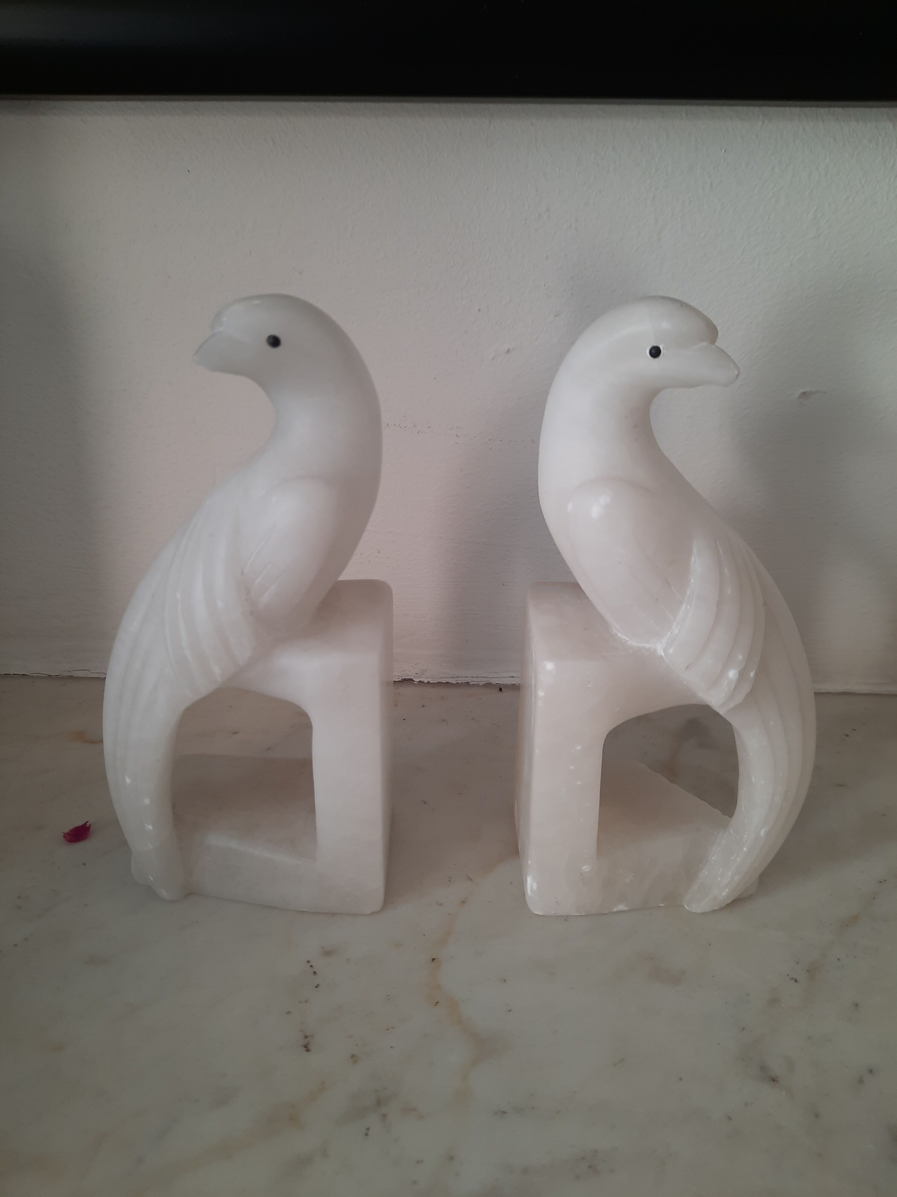 Pair of greenhouses books in albatre