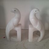 Pair of greenhouses books in albatre