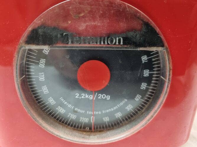 Terraillon household scale from 1970