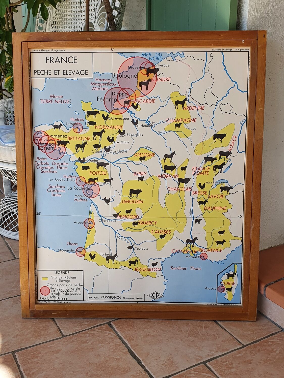 Rossignol school maps