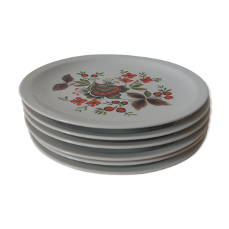 Set of 6 small plates Schumann arzberg