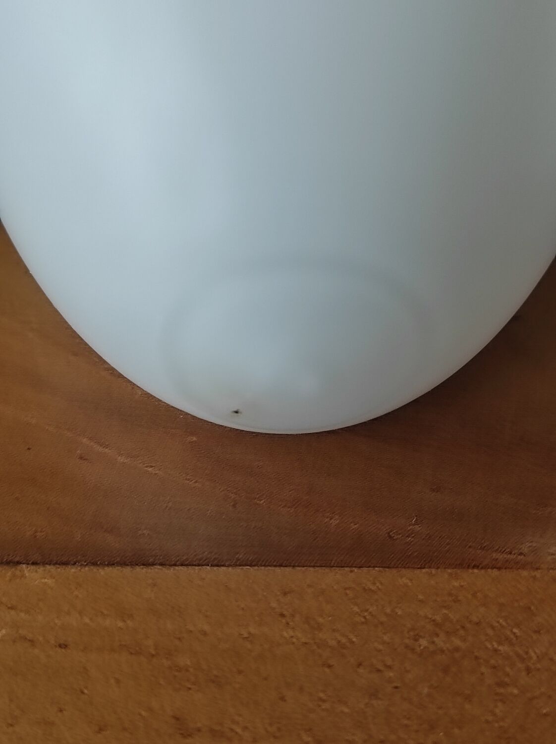 Lot de 2 demi-globes en opaline formeoeuf