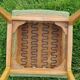 Pair of chairs from the 50s in sycamore tinted beech