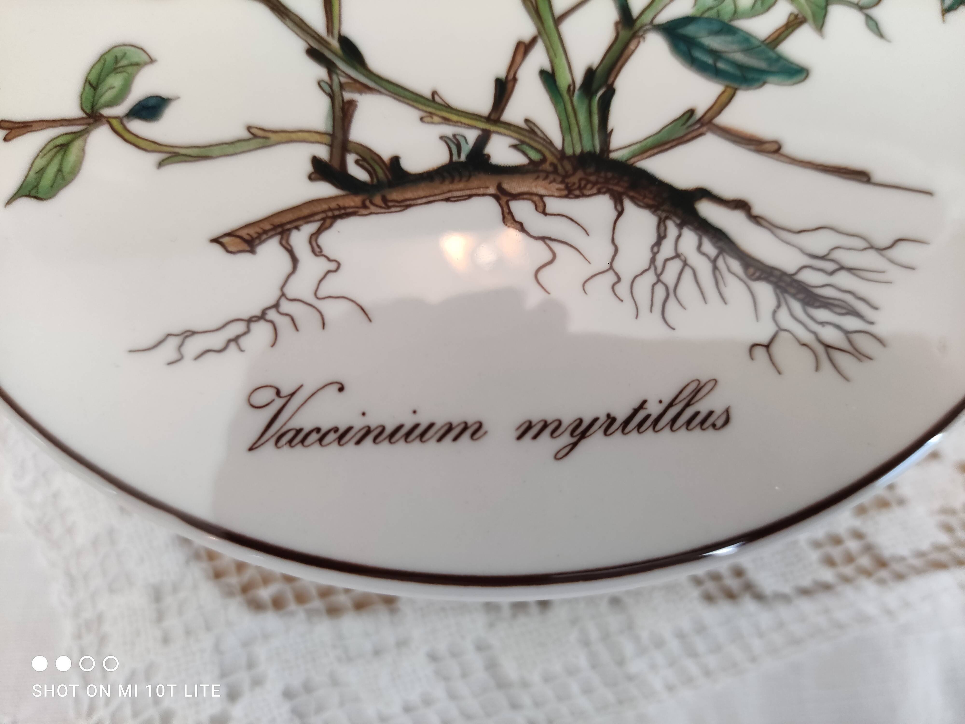 Porcelain box villeroy & boch model botanica "vaccinium myrtillus"