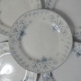 Terre de fer 6 assiettes plates Cyclamen