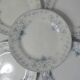 Terre de fer 6 assiettes plates Cyclamen
