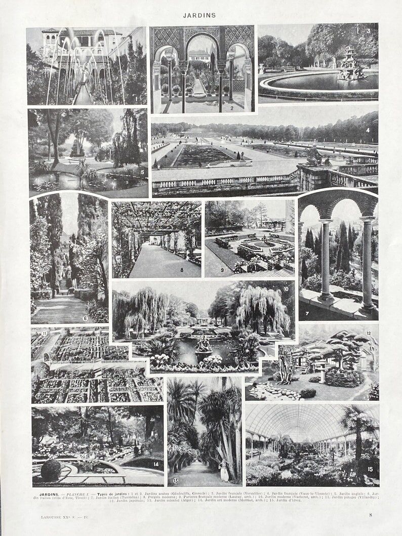 Illustration Millot "Ornamental tree gardens"