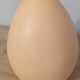 Vintage ostrich egg shaped lamp, Brussels porcelain
