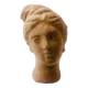 Tête de Femme Terre