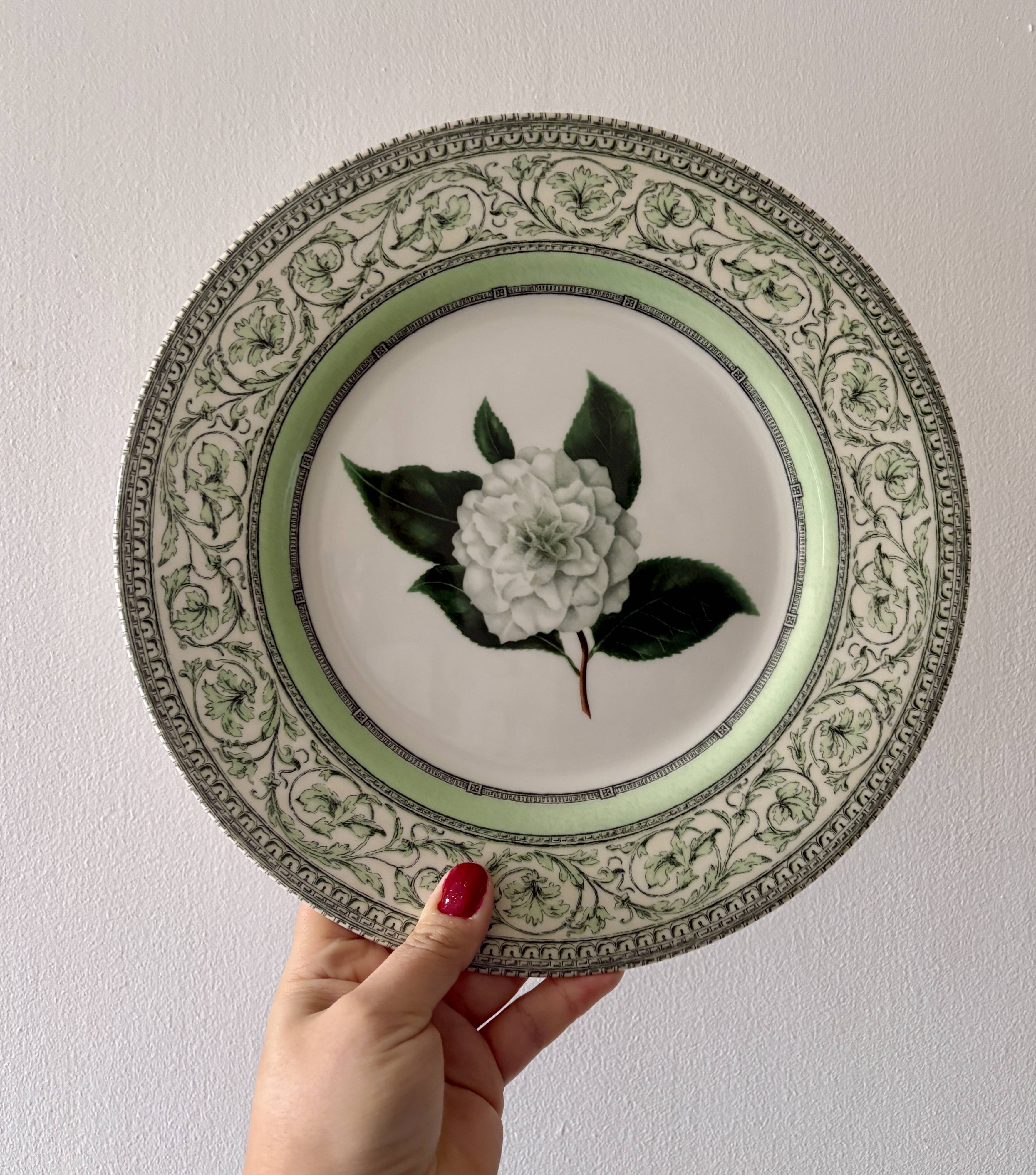 Lot de 8 assiettes plates Camélia - en porcelaine Anglaise