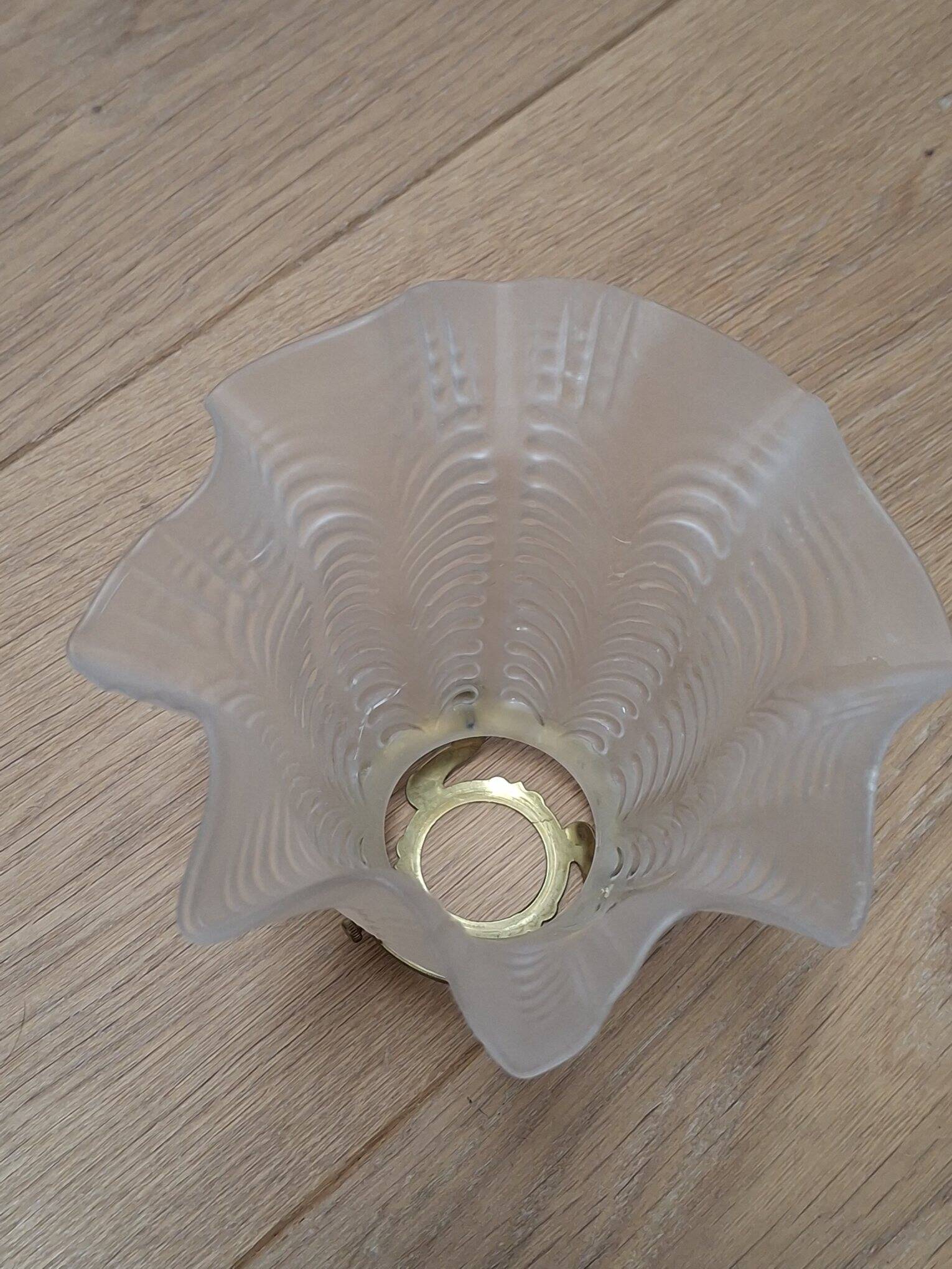 Tulip lampshade in frosted glass and brass, 1950s