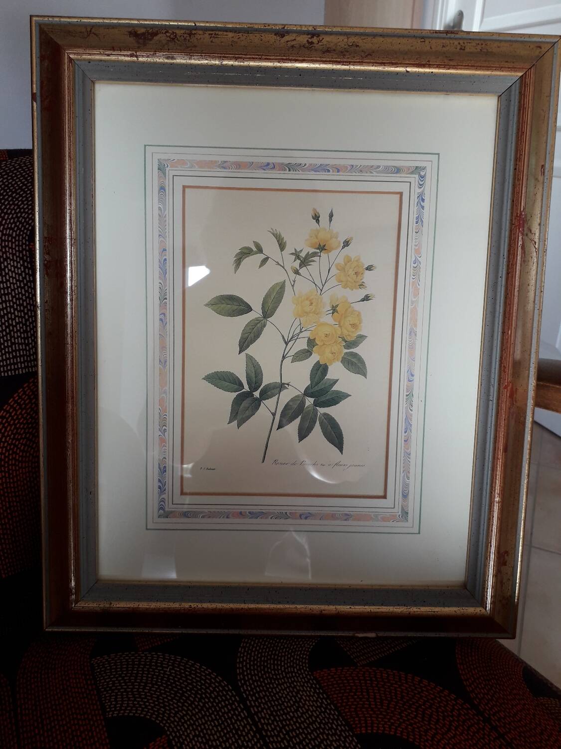 Yellow roses frame pierre jose redoute