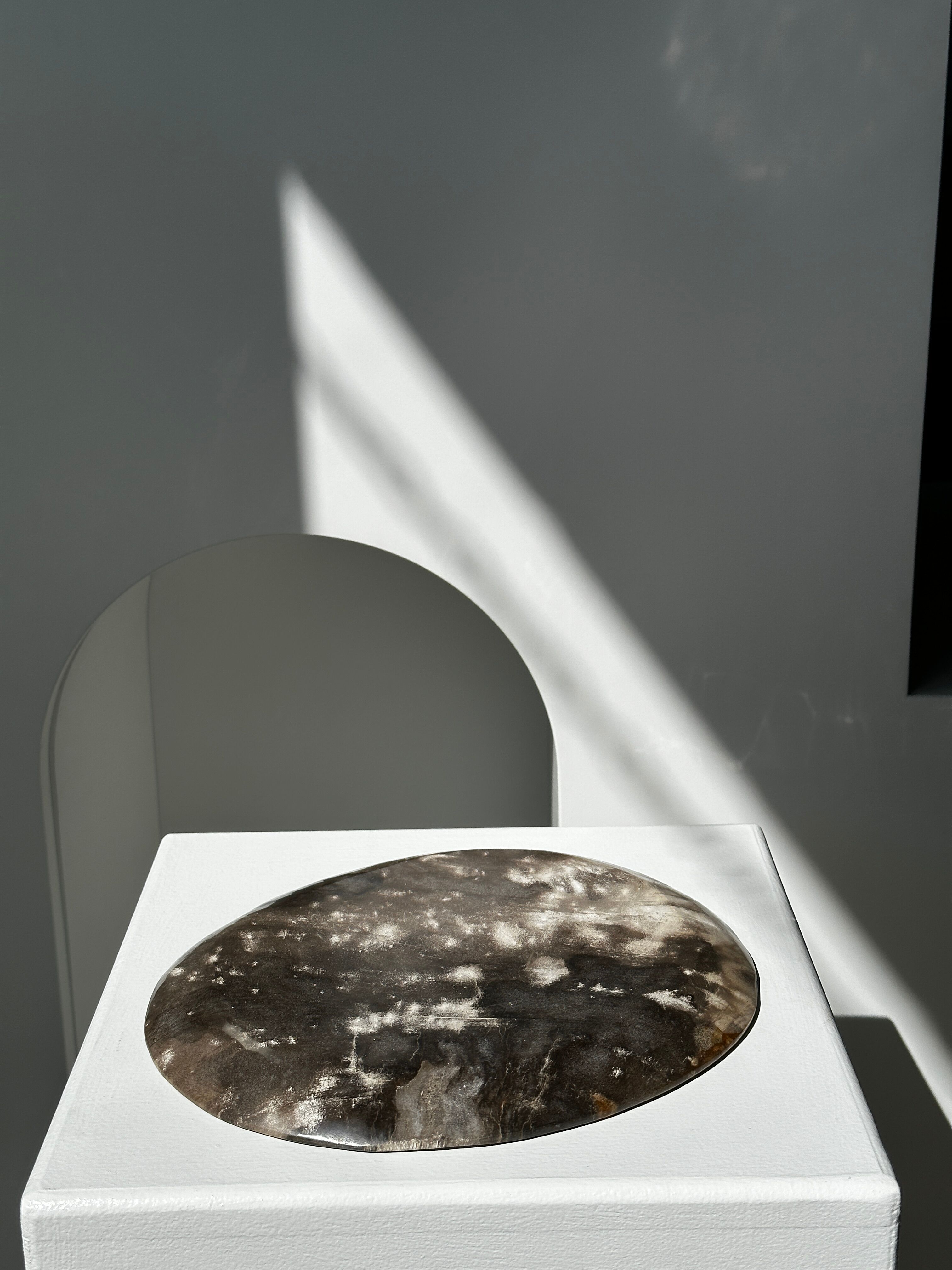 Dish in petrified wood