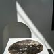 Dish in petrified wood