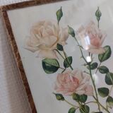 Tableau botanique rose
