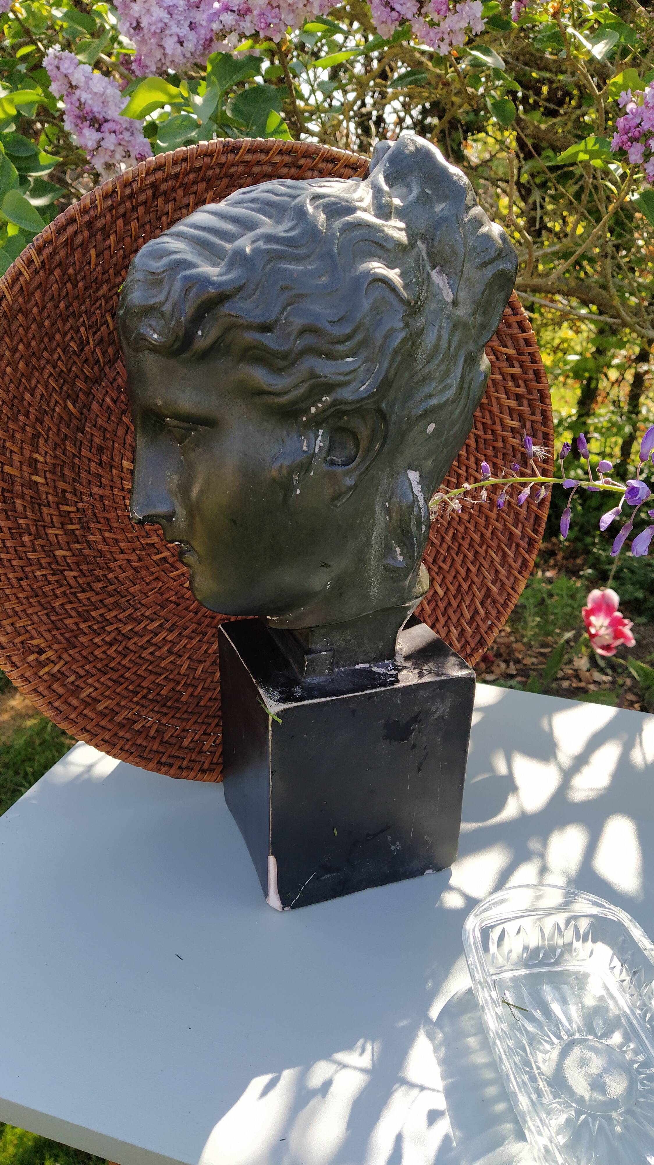 Diane bust in platre