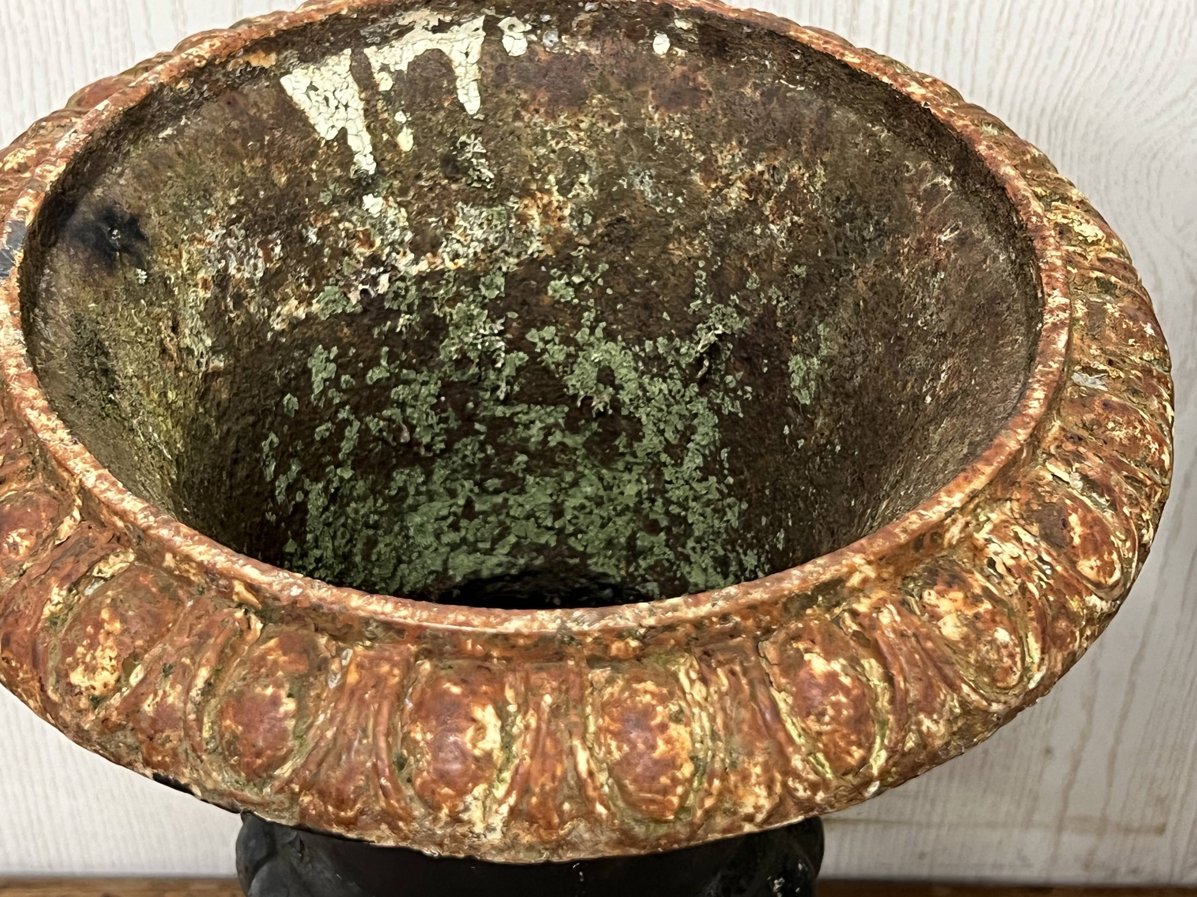 Pair of Medici vases