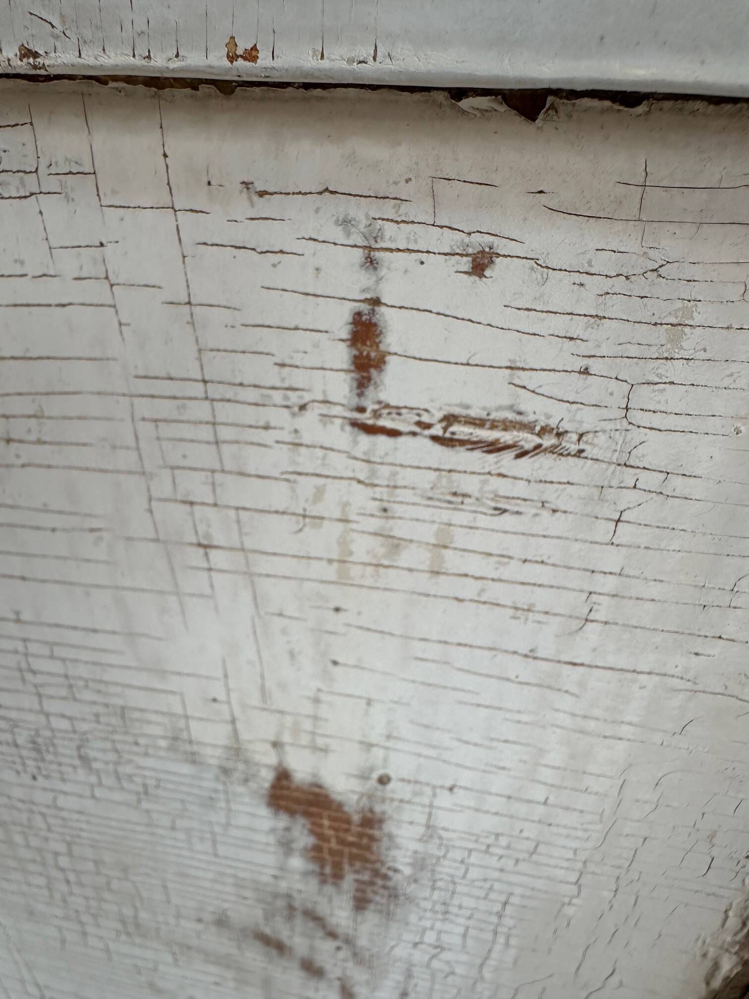 Trading post from the early 20th century