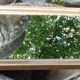 Old little gilded mirror