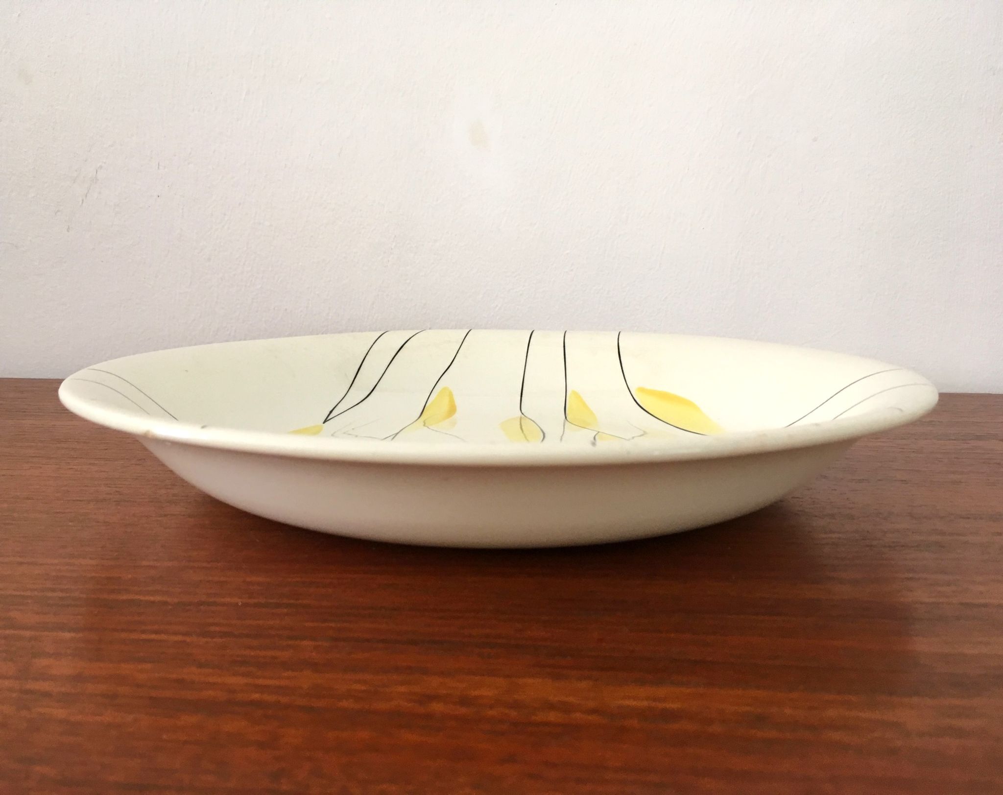 2 Vintage dishes in Salins earthenware service clear 50s