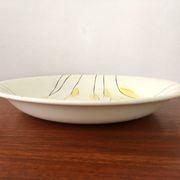 2 Vintage dishes in Salins earthenware service clear 50s