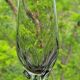10 crystal champagne flutes 24% Cristallerie Kaspar Lemberg Lorraine vintage