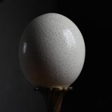Ostrich egg on brass base