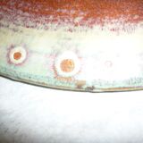 Plate Marius and Huguette Bessone 1950