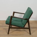 Model 300-139 Armchair from Swarzędz Furniture Factory, 1960s