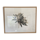 Original framed photograph by Denis Brihat 1994 print 1/6 numbered signed