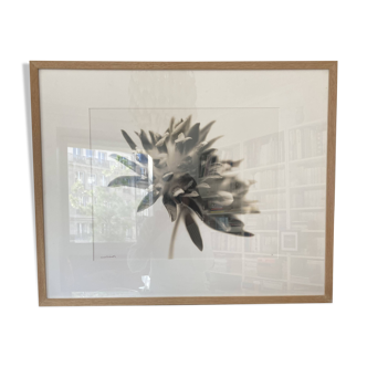 Original framed photograph by Denis Brihat 1994 print 1/6 numbered signed