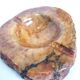 Caramel ocher alabaster ashtray Romano Bianchi Italy