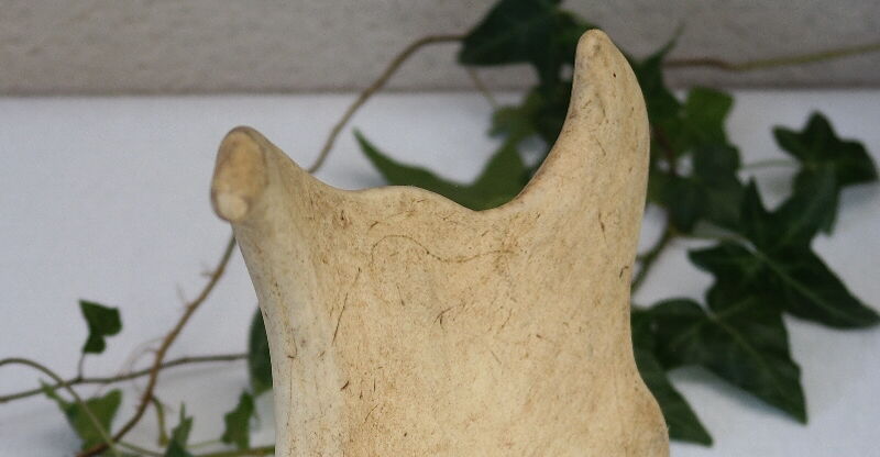 Pair of suede wood europe