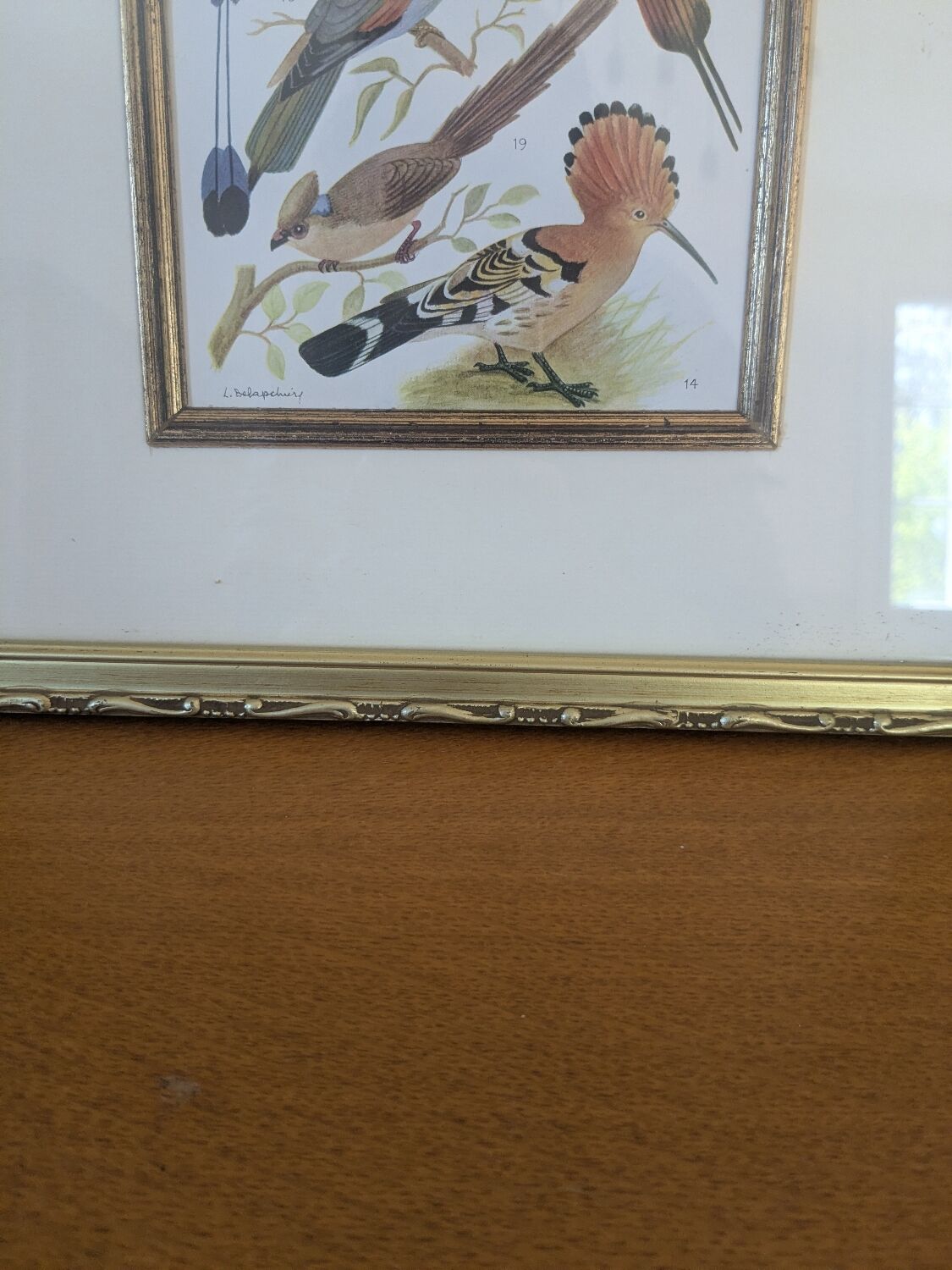 Lithographic frame of birds