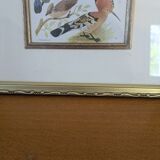 Lithographic frame of birds