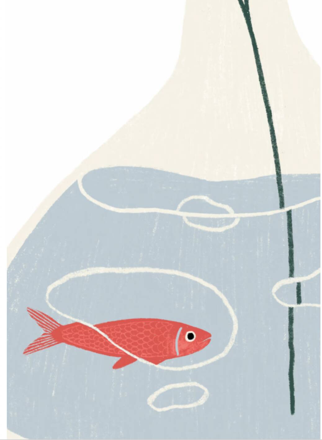 Le coquelicot - illustration a3