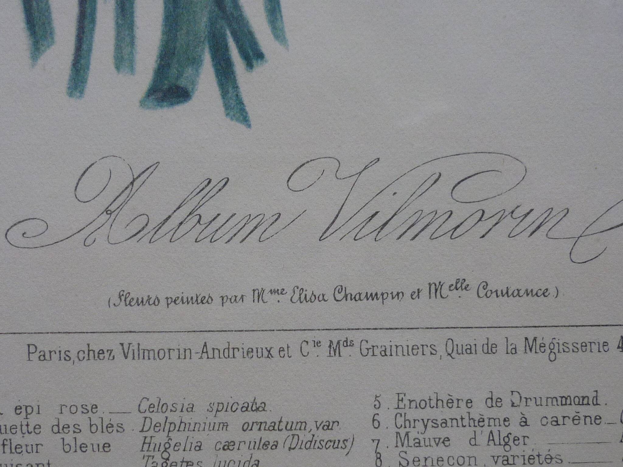 Framed Vilmorin lithograph, bouquet No 3, 1853, E. Champin