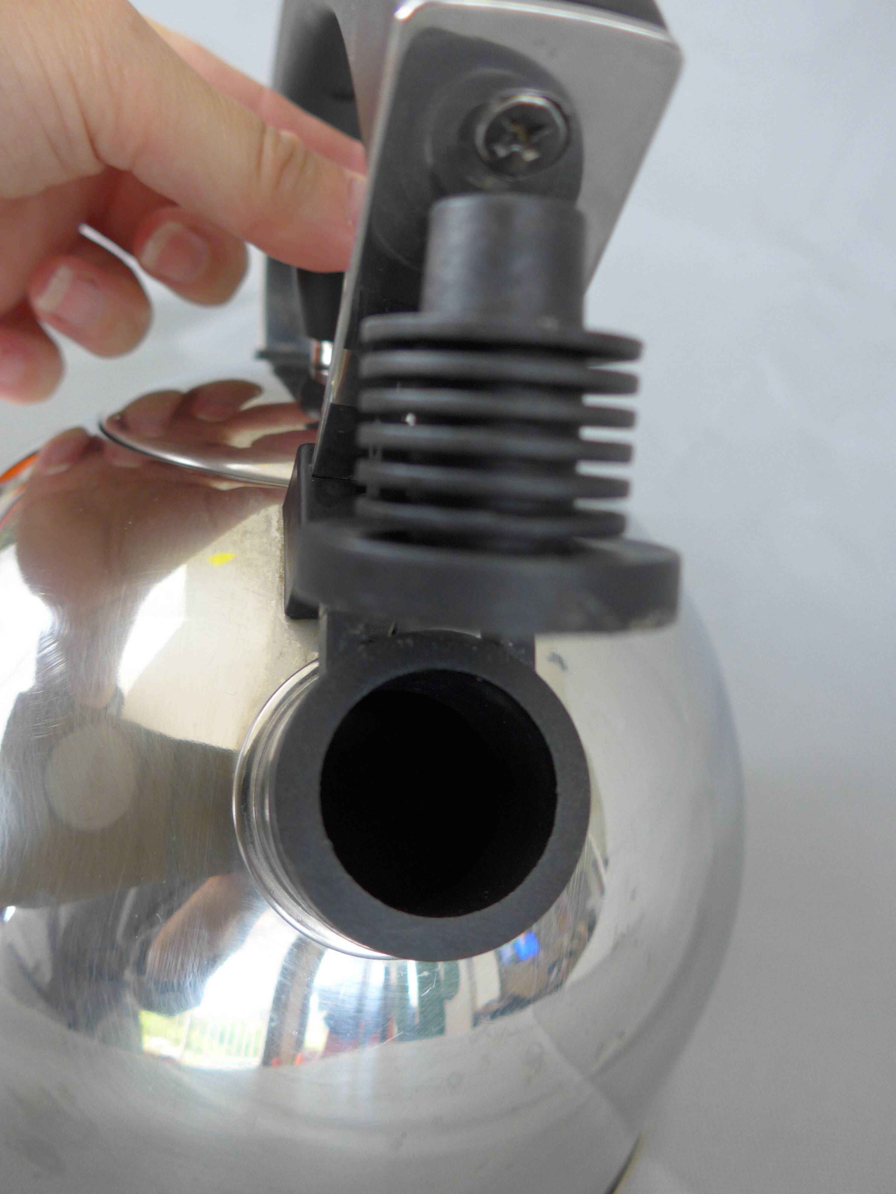 Stainless steel kettle