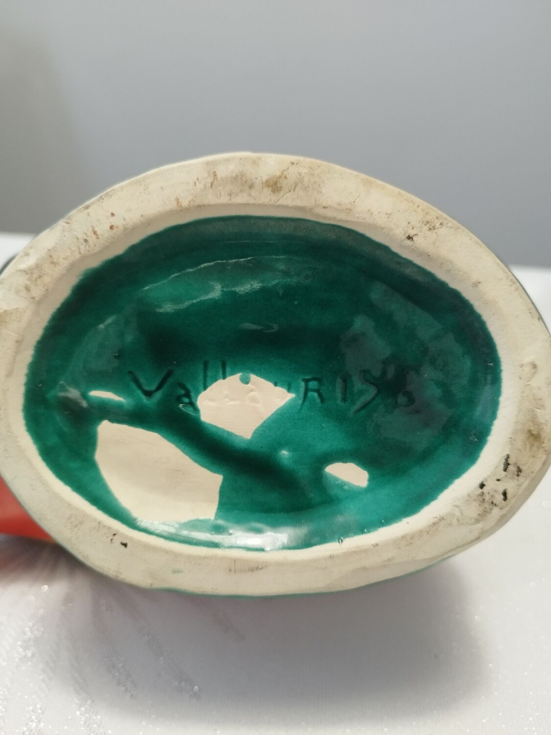 Night light shell of Vallauris