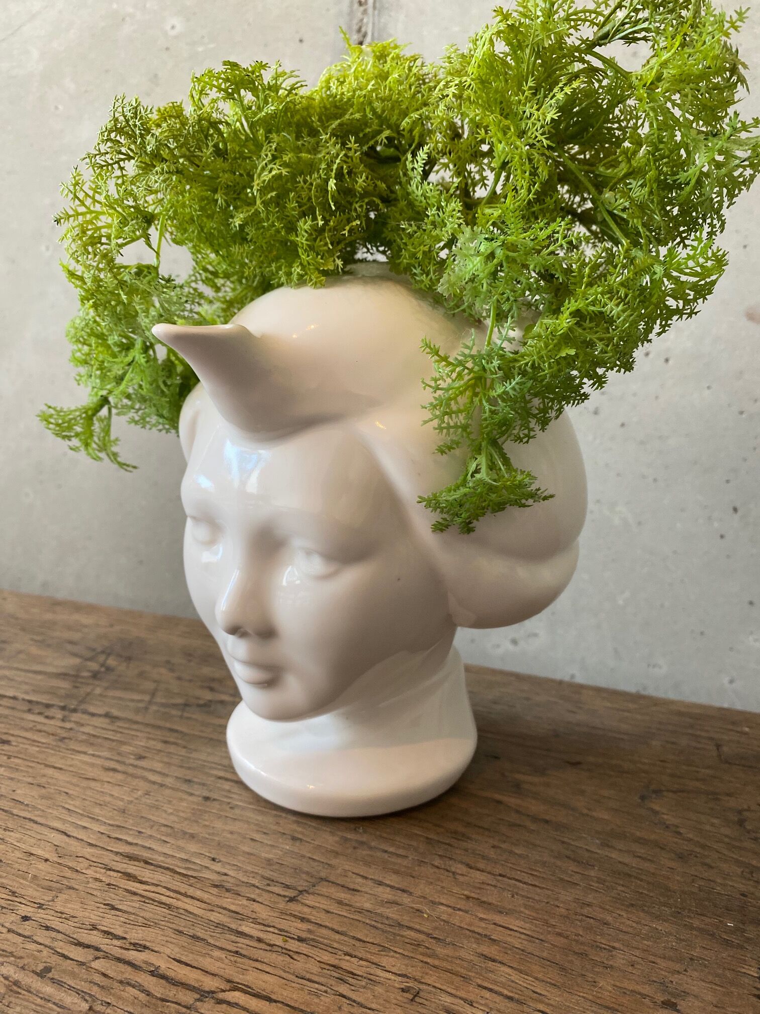 Vase Woman Face