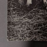 Black and white photo from 1960 depicting a child and sheep.