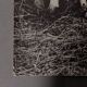 Black and white photo from 1960 depicting a child and sheep.